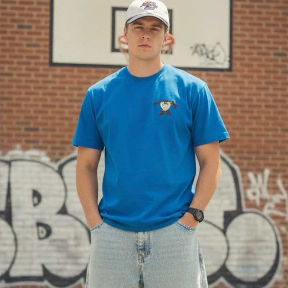 Warner Bros. Taz Graphic Blue Tee